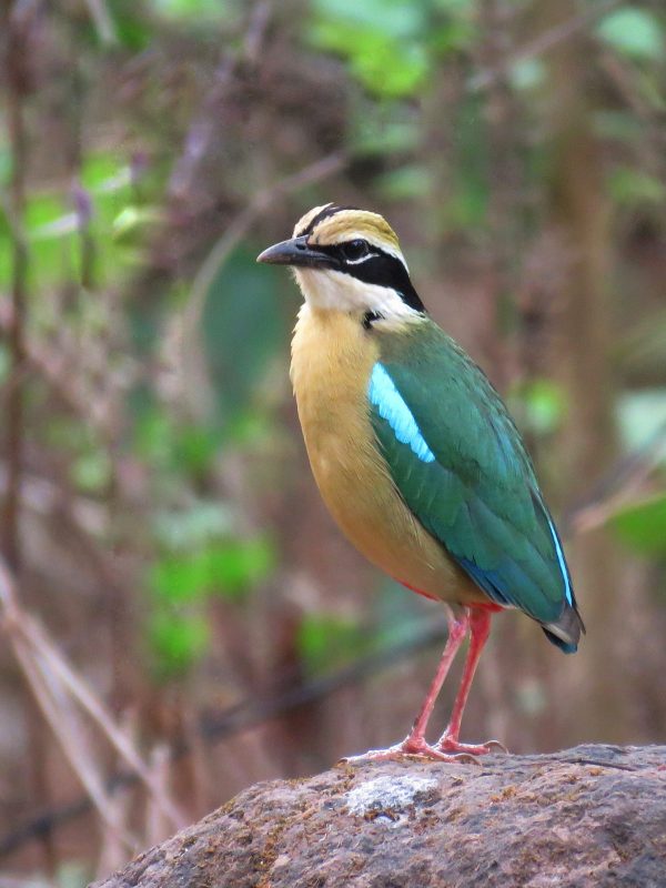 99153632_298653747797407_806976152500436992_n